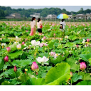 湘潭千般景 最美是你们——致湘潭全市人民的一封信