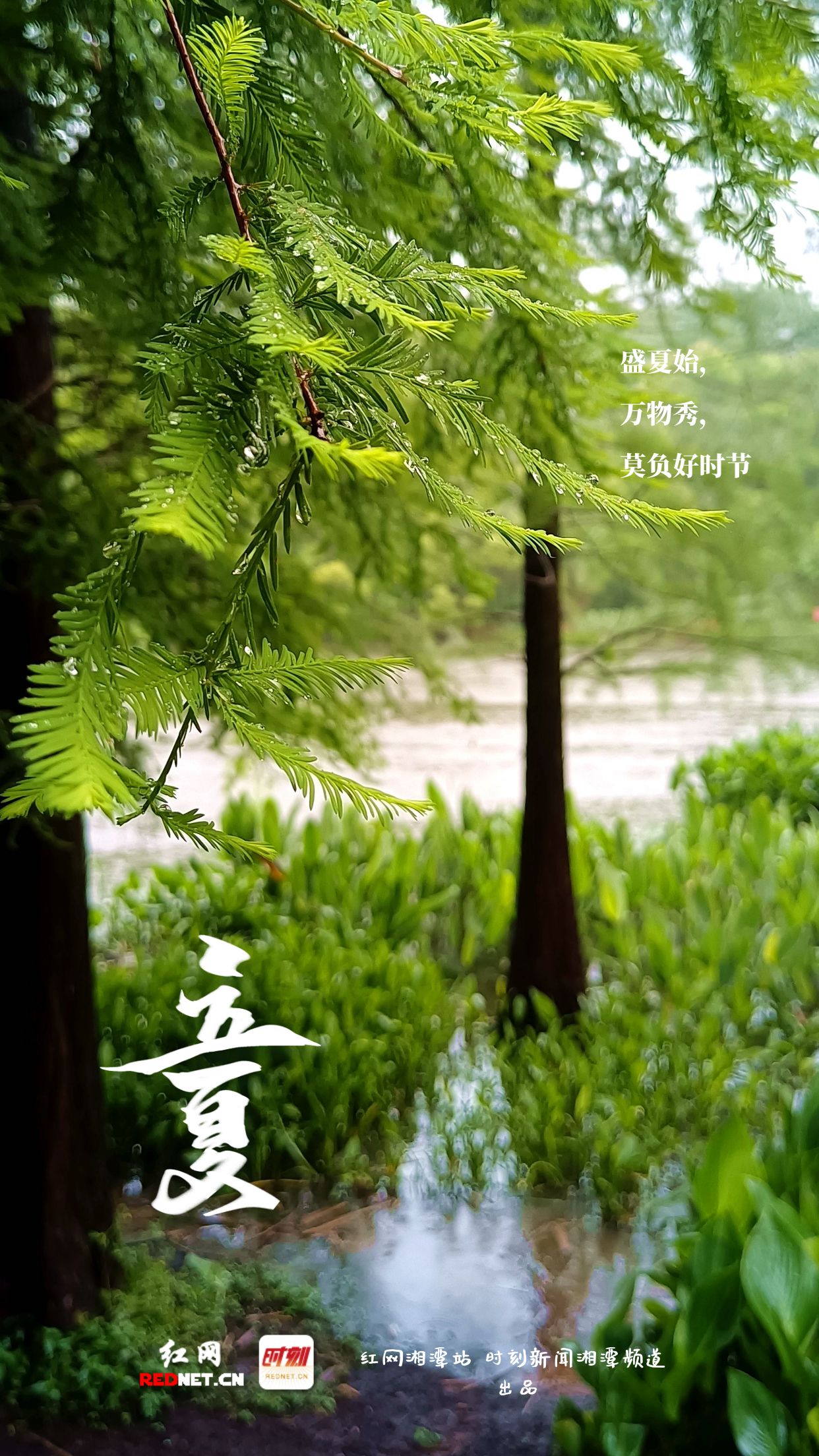 包图_59e57cc0a1a81318ef4e3642ec882f60_53567.jpg