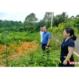 韶山亮剑微腐败 推动“三湘护农”专项行动落地有声