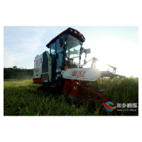风吹稻浪美如画 湘乡奏响夏粮 “丰收曲”