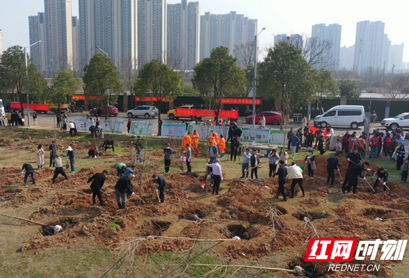 2024年湘潭市“城市绿化周”活动火热开启