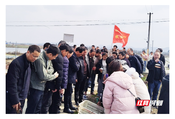 湘潭：“莲（稻）渔共养”富农家 “头雁”田间地头培训忙