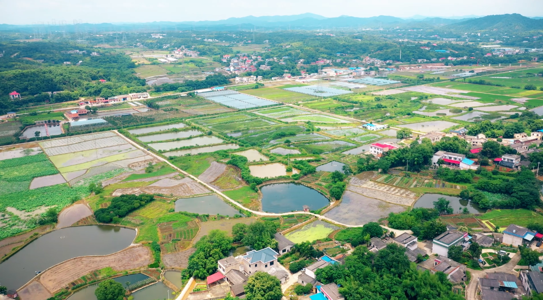 雨湖区红星村：奏响乡村振兴的和美乐章