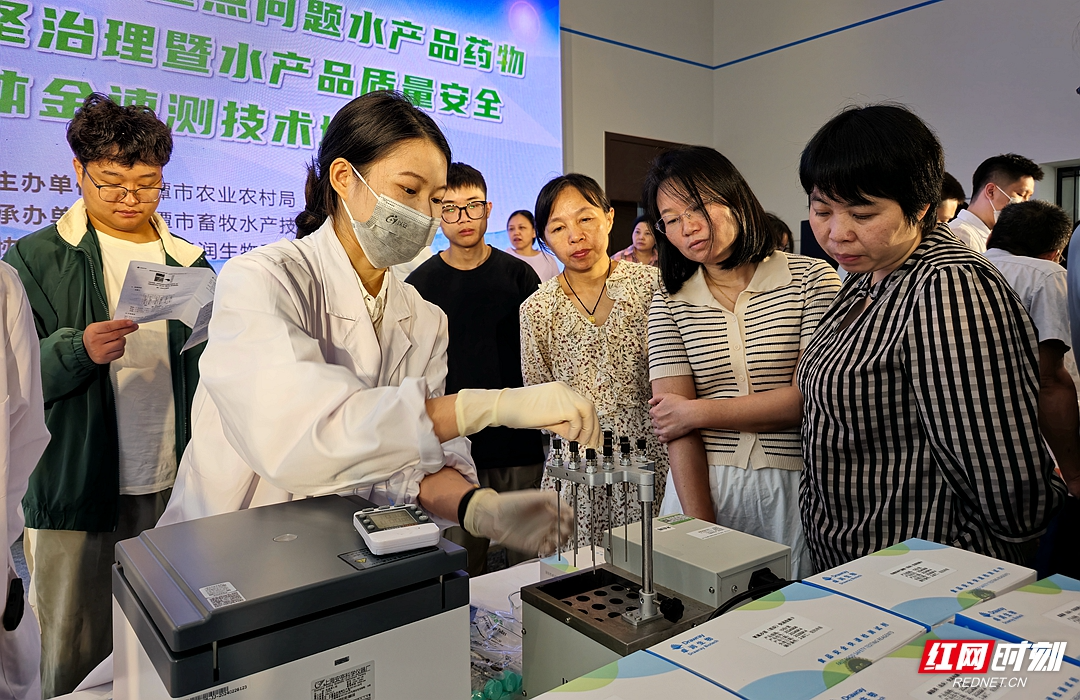 视频丨湘潭这场集中培训事关鱼类水产品安全