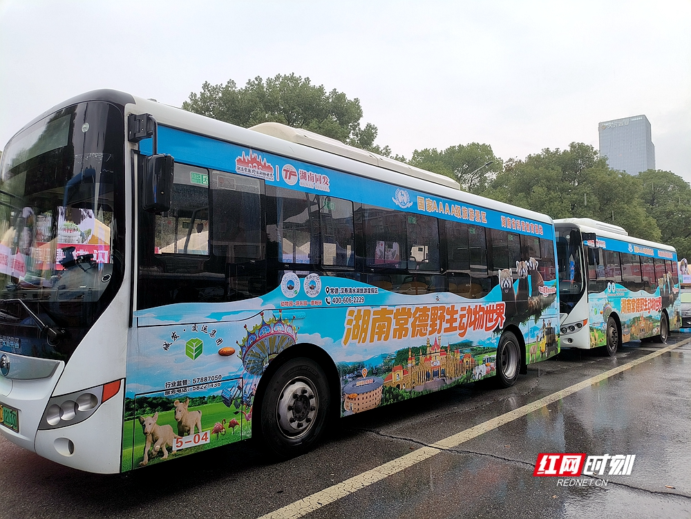 100台身披“常野生态画卷”的公交车在湘潭“上线”