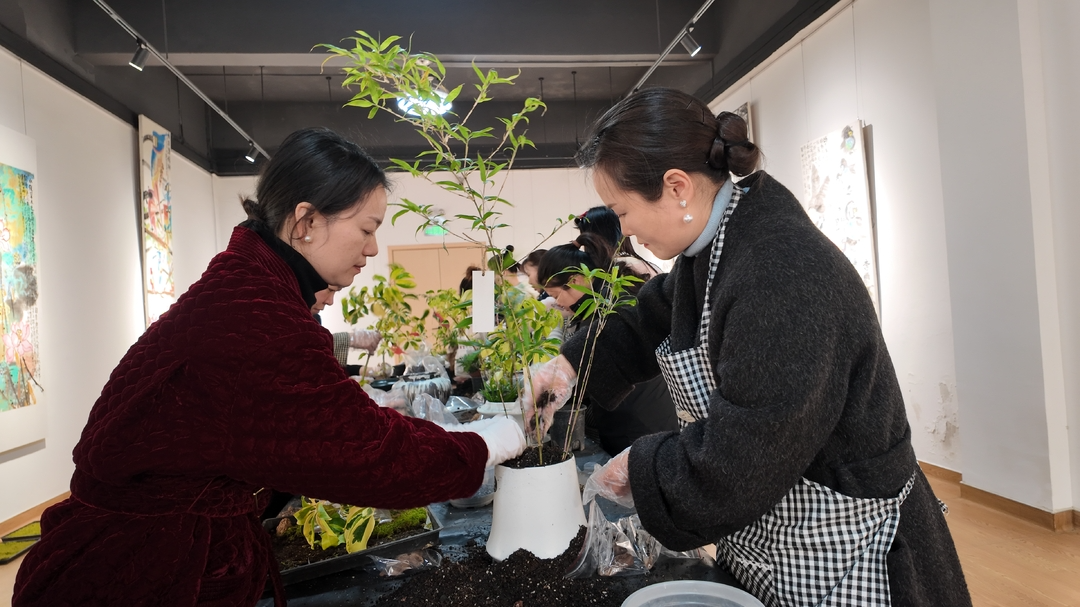 微风三月，来雨湖区文化馆赴一场中式意境美之约
