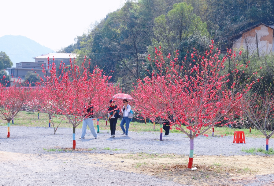 我爱湘潭我的家丨在岳塘“绿心”邂逅现实版桃花源
