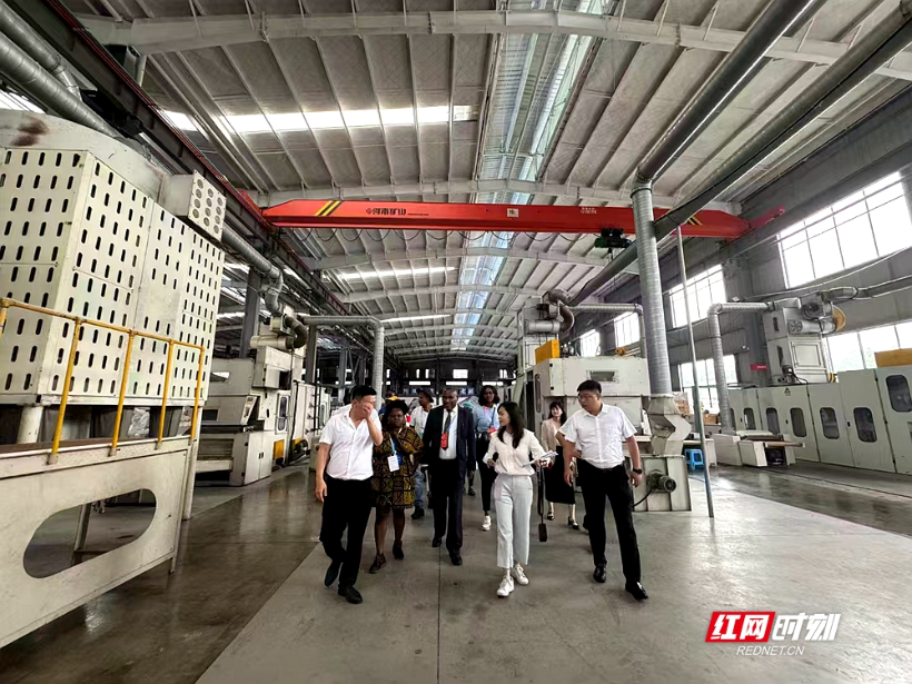 纳米比亚考察团到湘潭天易经开区考察洽谈交流