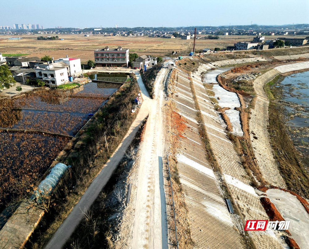 党旗飘扬实干时 一线身影绘就莲乡振兴图