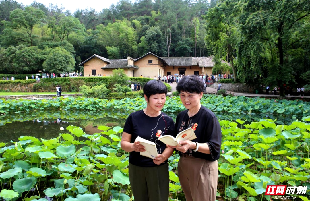 奋斗2025丨韶山市以高水平治理擦亮社会平安底色