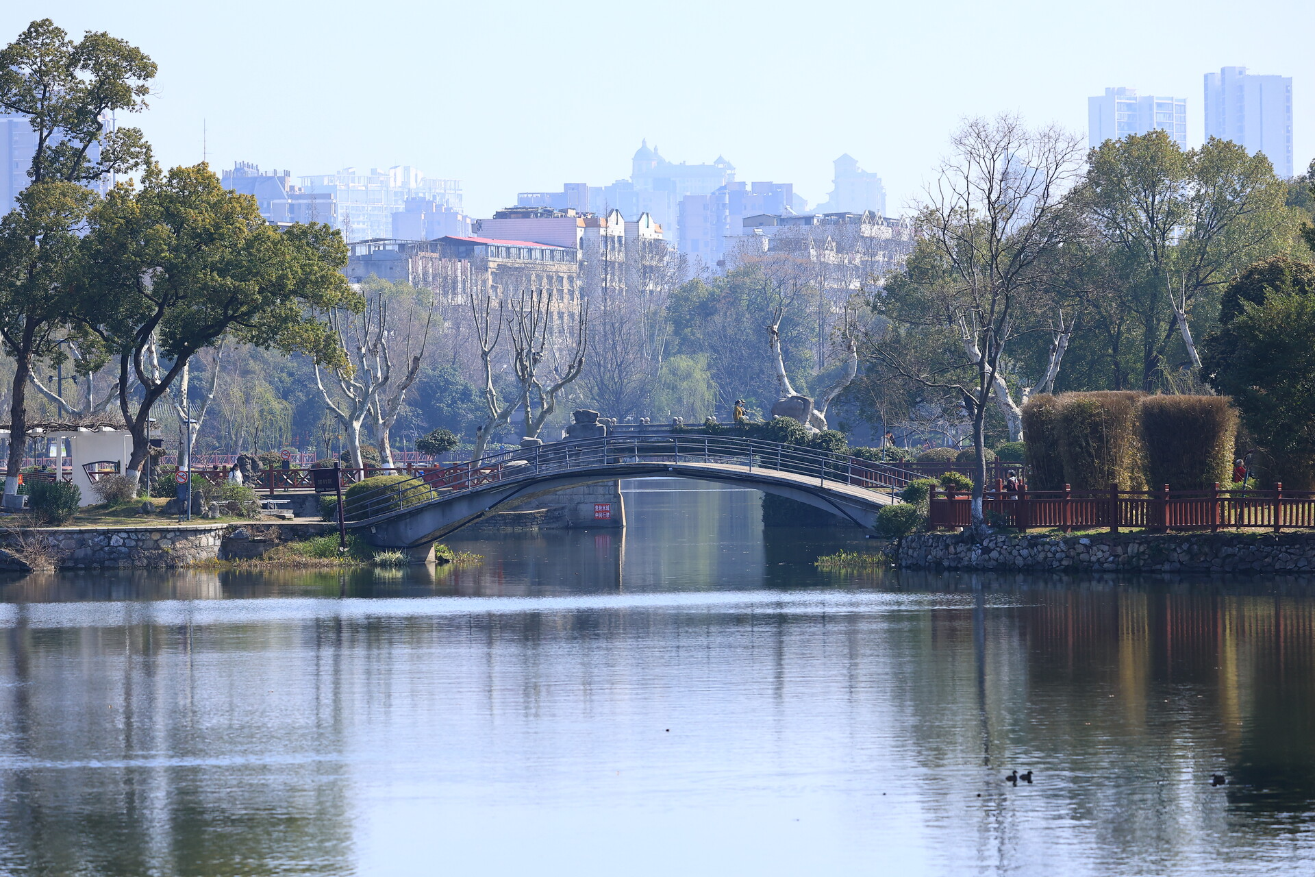 组图丨春天的雨湖公园：芳香四溢，沁人心脾