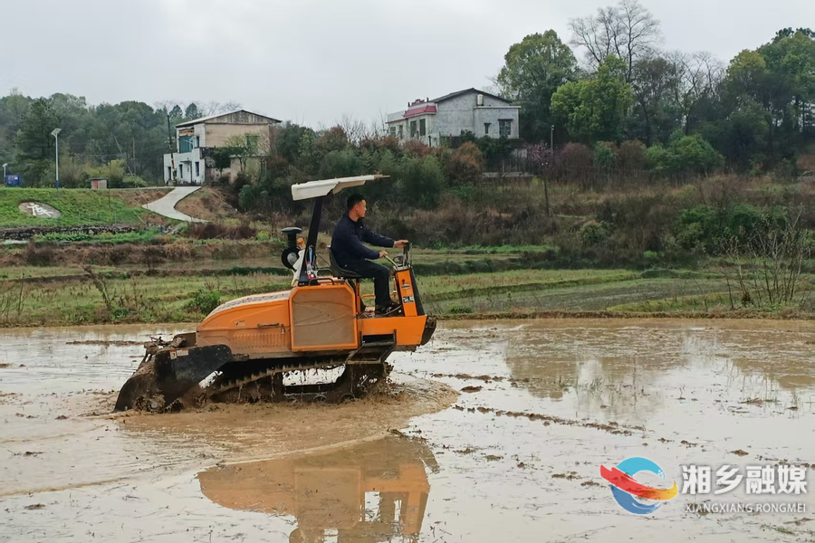 “农二代”返乡种粮 在田野书写青春答卷