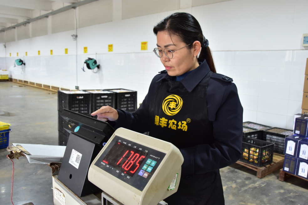 湘潭市雨湖区何密方：扎根沃土绽芳华