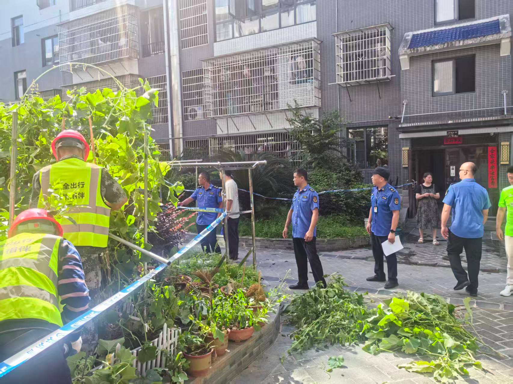 韶山市多部门联合整治“毁绿种菜” 守护小区绿色家园