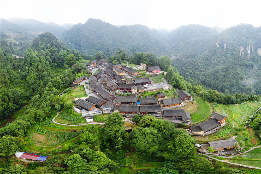 三五村人口_唐三五年后照片(3)