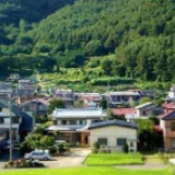 精准帮扶，助群众家门口吃好“旅游饭”