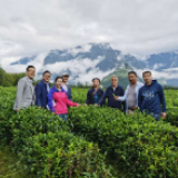 张孝岳：千古茶缘湘藏情