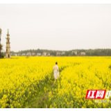 看见了春天里的花,提防春天里的“薄冰”