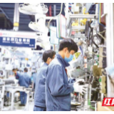 点燃“稳岗就业”一把火，力兜民生“保障线”