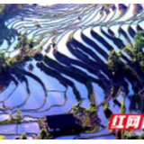 文旅振兴方法论｜童中贤：构建新时代城市生态文明新秩序