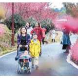文旅振兴方法论｜许春晓：疫情冲击下的文旅市场如何破阵