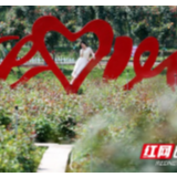 乡村旅游，美了乡村富了村民