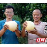 乡村振兴，少不了这一股“新时尚”