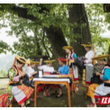 发展民族文化产业，为乡村振兴“锦上添花”