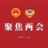 两会热评｜“两会时间”，代表委员需防疫履职“两不误”