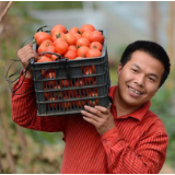 让返乡创业成为带动就业的“新引擎”