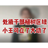 青椒视评｜处级干部植树区域，小王可立了大功了