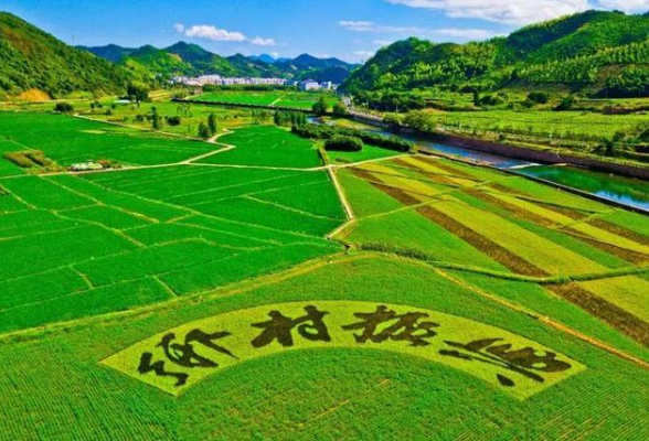 划出过渡期重点,做好脱贫攻坚同乡村振兴有效衔接