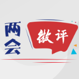 两会微评｜感知大国脉动，开启你的“两会视角”