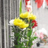 在致敬先烈中,接受革命传统教育