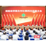 走向乡村振兴，湖南供销合作社能做些什么？