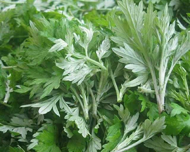 微信图片_20220330150944.jpg 微信图片_20220330150944.jpg