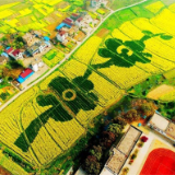 以“农”为底色,擘画希望田野“振兴图”