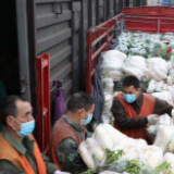 谣言会破灭但期待不会落空