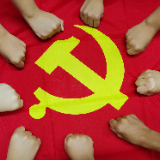 罗克军：静下心来“冷思考” 沉下身子“踱方步”