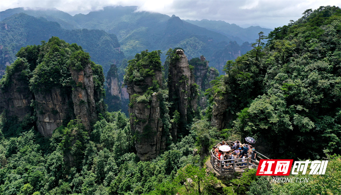 1660445607772-rx2qw1xuur.png 1660445607772-rx2qw1xuur.png