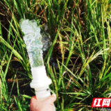 夯实抗旱救灾组织优势