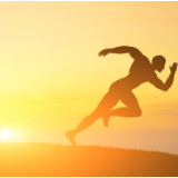 接力梦想，下一年还是“实干”