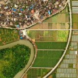 奋进的春天丨“数”说中国粮，岁稔年丰可期可望