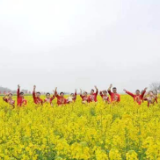 移风易俗  乐在花海——为锁石花海集体婚礼点赞