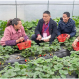 明确三个“一”，避免调查研究“跑偏”