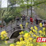 让“文旅复苏”走上“务实出新”的幸福路