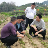 带着问题下基层，拿到解术回机关