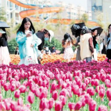 芙蓉国评论丨消费市场火热，让“烟火气” 袅袅升腾