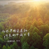 “好评中国”，缕缕“凡人微光”映照奋进中国