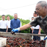 激发文化赋能乡村振兴新活力